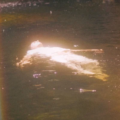 Dive
